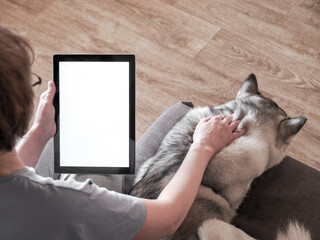 Woman using tablet with Husky dog sleeping next to her