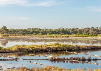 Image of the salt pond in Colonia de Sant Jordi at sunset