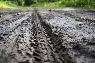 Muddy bike trail leading towards dry ground with texture of tire profile clearly visible in the wet...