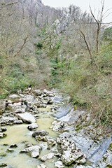 river with rocks in a mountain gorge in spring