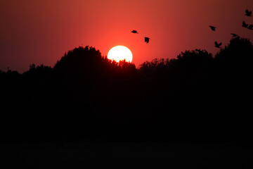 Obraz premium Sonnenuntergang