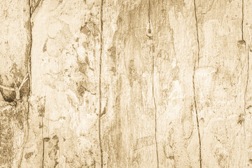 Nature brown wood texture background board seamless wall and old panel wood grain wallpaper. Wooden pattern natural rustic resource design. Summer light teak & pine surface. Table plywood with decor.