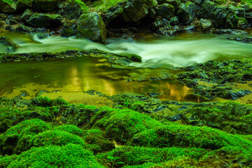 Forest stream running over mossy rocks. Filtered image: colorful effect.
