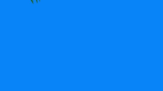 Vegetables elements animation chroma key background removable