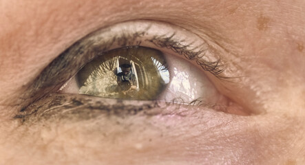 Fototapeta premium MOSCOW-may 29, 2020: a white cat lies on a box that came from the Beru online store. The General plan, the Turkish Angora