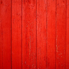 Red wooden background.