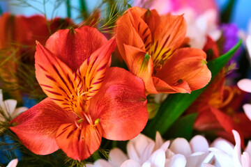 Obraz na płótnie Canvas Close-up Large Beautiful bouquet of mixed flowers. Flower background and Wallpaper. Floral shop concept . Beautiful fresh cut bouquet. Flowers delivery