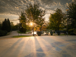 reflection sun sunset park tree reflection sun