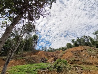 Beautiful green forest and blue sky above during a trekking in Tambunan, Sabah. Malaysia, Borneo....