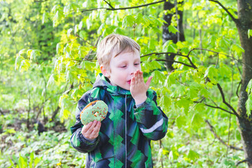 The child licks his sticky hands. Baby boy holds a delicious doughnut in the forest in spring. Happy childhood in the country.