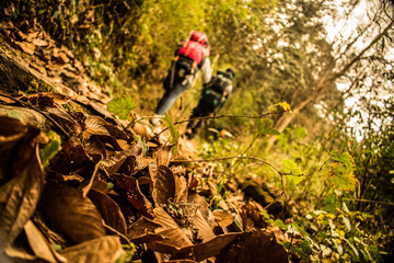 young woman in the woods