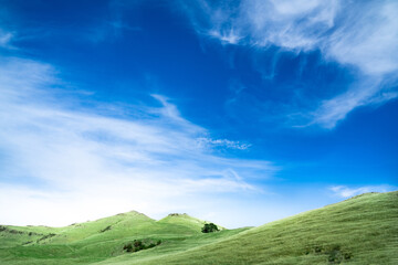 Green grass field on small hills and blue sky with clouds. Copy space for text.