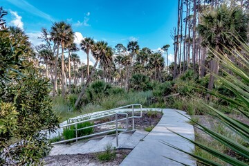 nature landscape scenes around hunting island state park in south carolina
