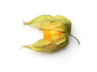 Physalis isolated on white background. Top view