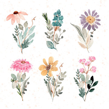 beautiful floral bouquet watercolor collection