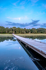Naklejka premium nature landscape scenes around hunting island state park in south carolina