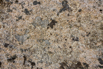 Close up view of part of gray stone overgrown with green moss. Beautiful nature backgrounds.	