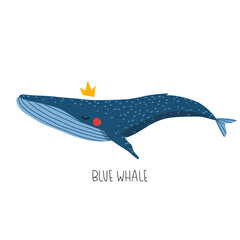 cute whale illustration isolated on white background for children designs. Vector whale illustration