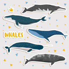 Obraz na płótnie Canvas cute whale stickers template for children. Vector whales iluustrations set 