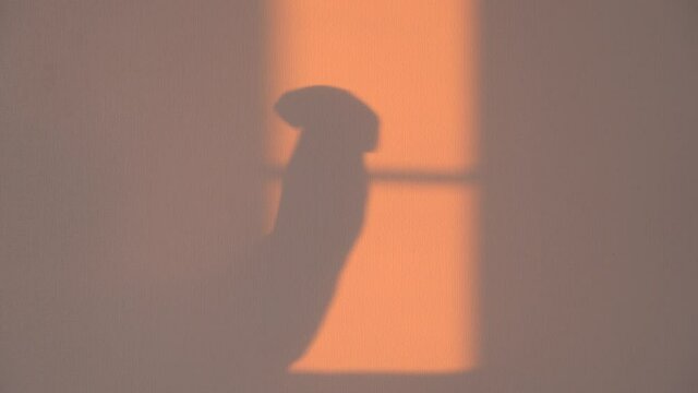 Man with hand movements creates figures for shadow theater in reflection of the suns rays on wall of room during beautiful fiery sunset or dawn.