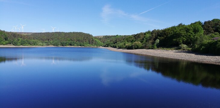 reflection of trees in the lake