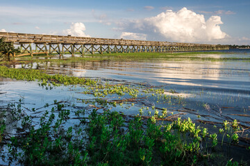 Hunting island south carolina beach scenes