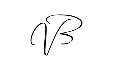 bv or vb Cursive Letter Initial Logo Design, Vector Template