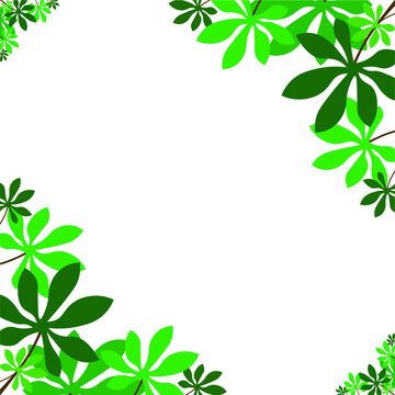 frame for decoration with green leaves. vector illustration