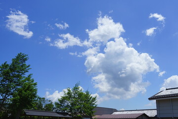 モクモクした白い雲が浮かぶ初夏の青空
