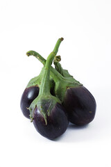 Brinjal or Eggplants isolated