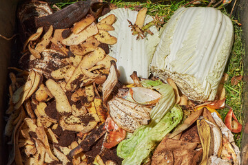 View into a bio container  with various organic wastes such as potato and salad for recycling.
