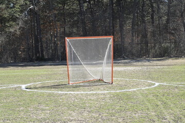 a lacrosse goal sitting on a natural grass field
