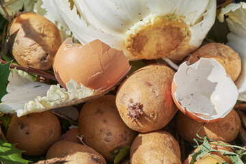 View into a bio container  with various organic wastes such as potato and salad for recycling.
