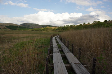 Fototapeta na wymiar 湿原を抜ける道　木製遊歩道　K3BP6510