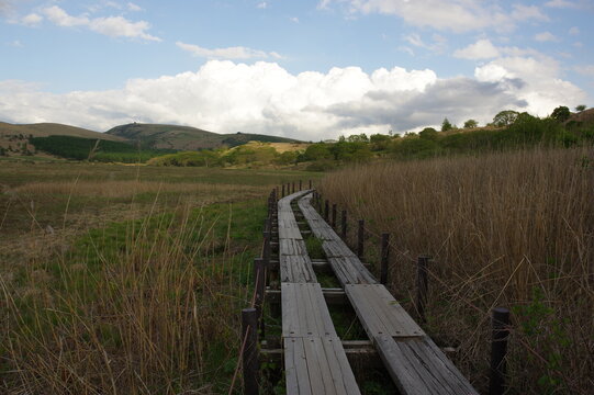 湿原を抜ける道 木製遊歩道 K3BP6510 © nobokin