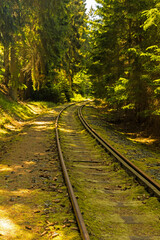 Fototapeta premium old railroad track in Thuringia