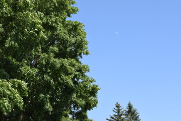 moon shines during the day against the background of the city landscape