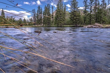 beautiful nature scenes along yellostone river in wyoming