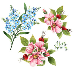 Rosehip flowers. Myosotis. Watercolor illustration, Hello Spring. leaves, buds,  flowers, berries, handmade, a set of plants
