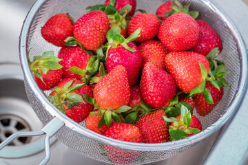 Washed strawberries, Fruits in a colander in a sink