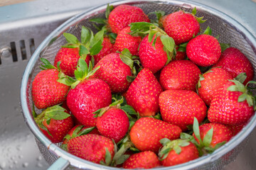 Washed strawberries, Fruits in a colander in a sink