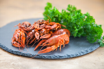 Boiled red crayfishes with a beer and green vegetableson a ceramic board. Close up. Selective focus.