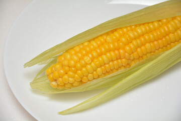 トウモロコシ