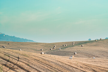 view of the Tuscan Italy fields and hills