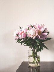 Pink peony flowers bouquet in glass jar on wood table. Copy space. Lifestyle toning photo.
