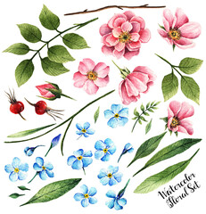 Rosehip flowers. Myosotis. Watercolor illustration, Hello Spring. leaves, buds,  flowers, berries, set of plants, handmade