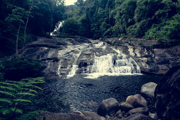 small waterfall  in tropical rainforest