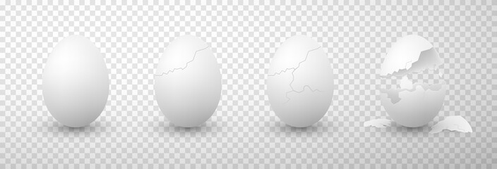 Eggs whole, broken realistic set. Hatching, cracking chicken shell stages. Mockup, template.