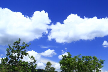beautiful clouds during the day
