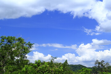 Fototapeta na wymiar blue skies and clear during the day